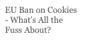 EU Ban on Cookies - What’s All the Fuss About?